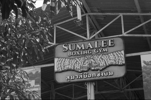 Cours 01 Les bases du Muay Thai 
